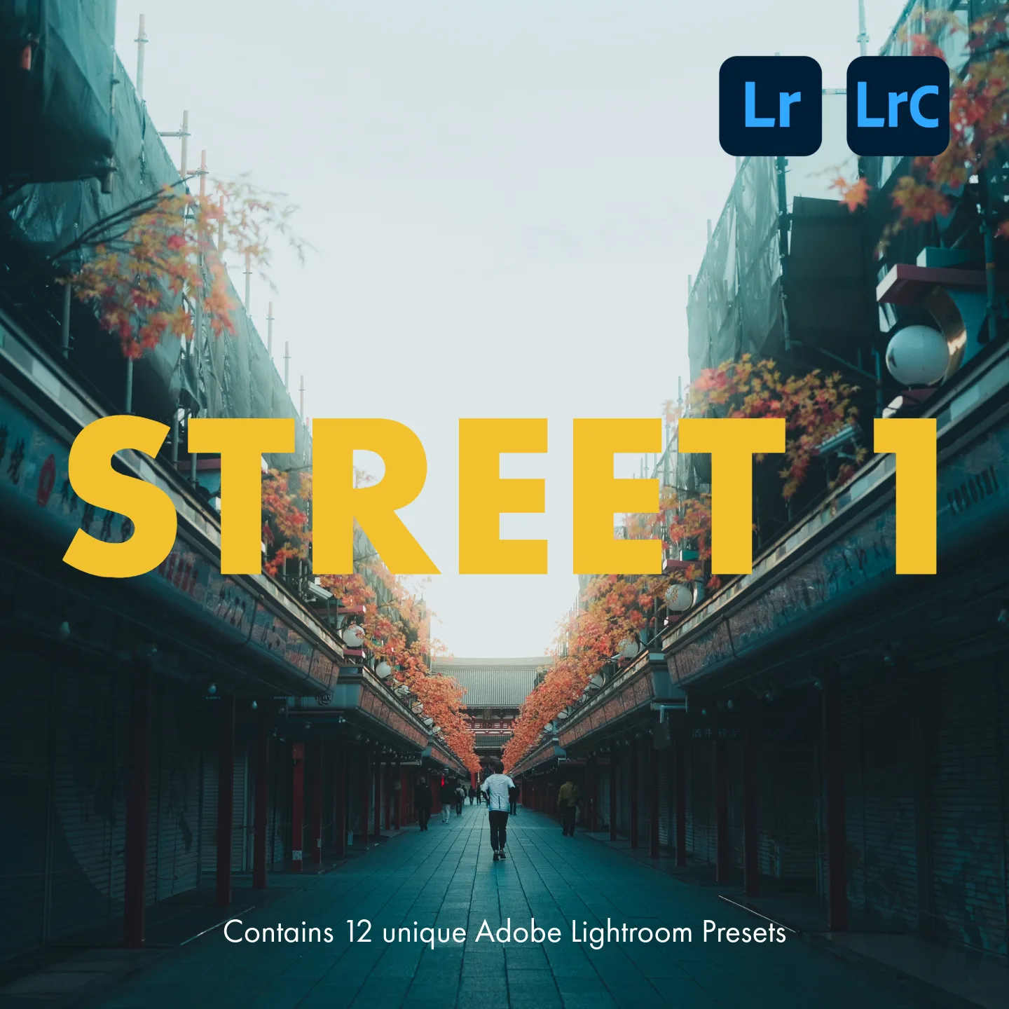 Lightroom Presets installieren: Die komplette Anleitung für Classic, CC und Mobile